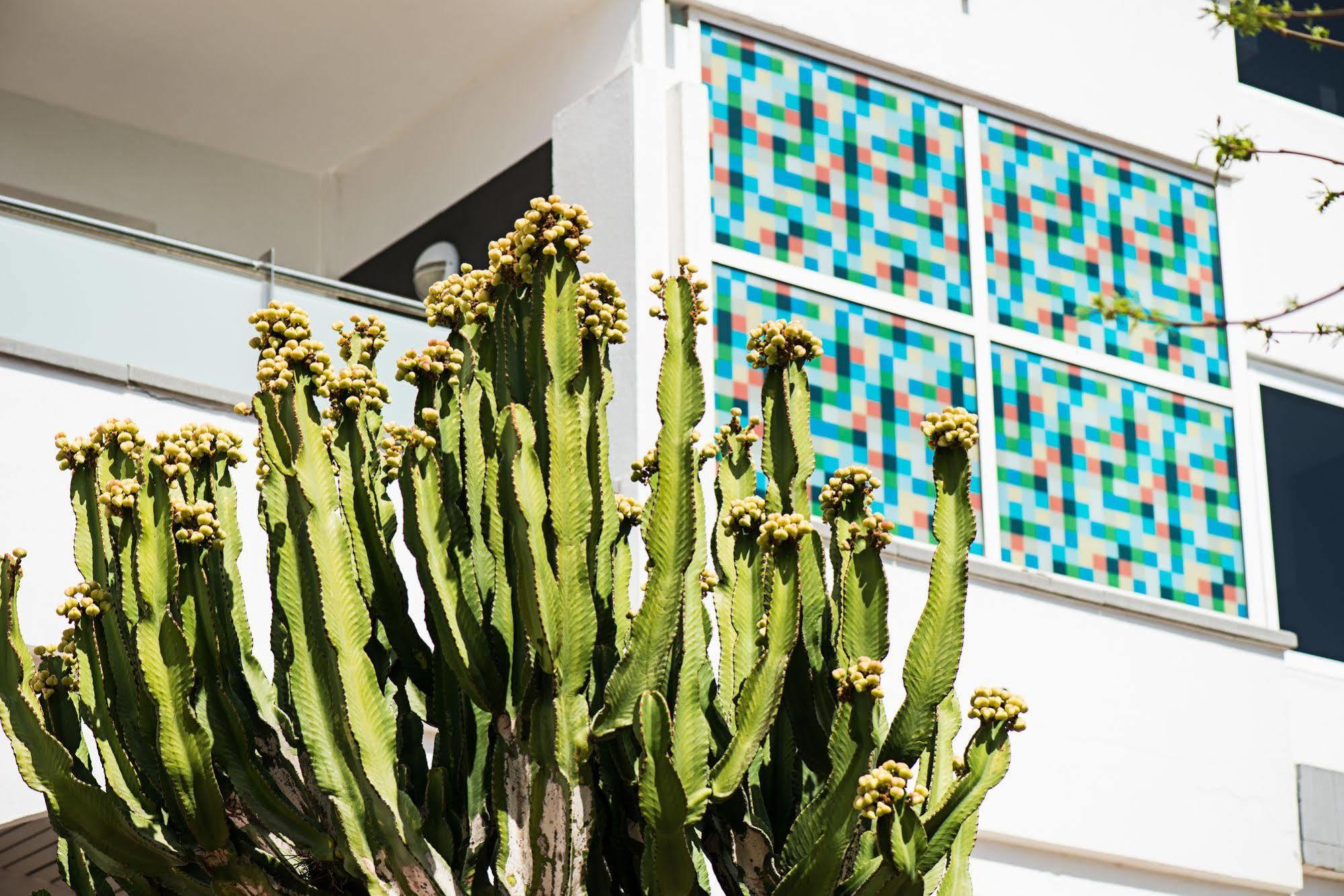 Axel Beach Maspalomas - Adults Only Playa del Ingles  Exterior photo